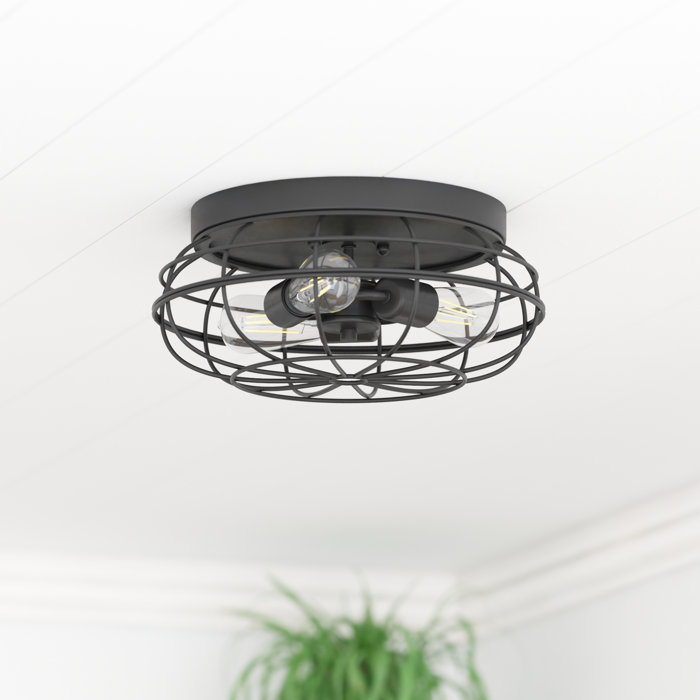 17 Stories Edgeley Matte Black Industrial Flush Mount Light with Cage